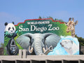 San Diego Zoo and Safari Park Admission